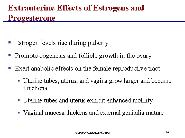 Extrauterine Effects of Estrogens and Progesterone § Estrogen levels rise during puberty § Promote