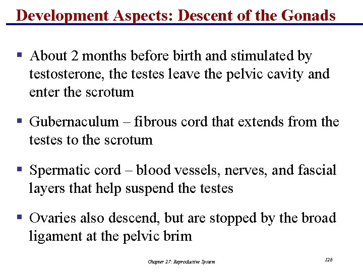 Development Aspects: Descent of the Gonads § About 2 months before birth and stimulated