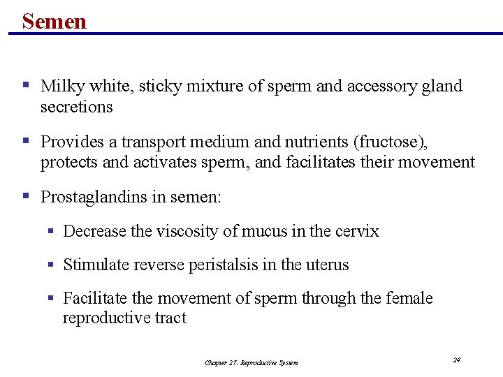 Semen § Milky white, sticky mixture of sperm and accessory gland secretions § Provides