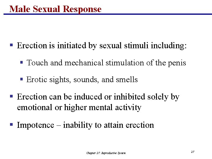 Male Sexual Response § Erection is initiated by sexual stimuli including: § Touch and