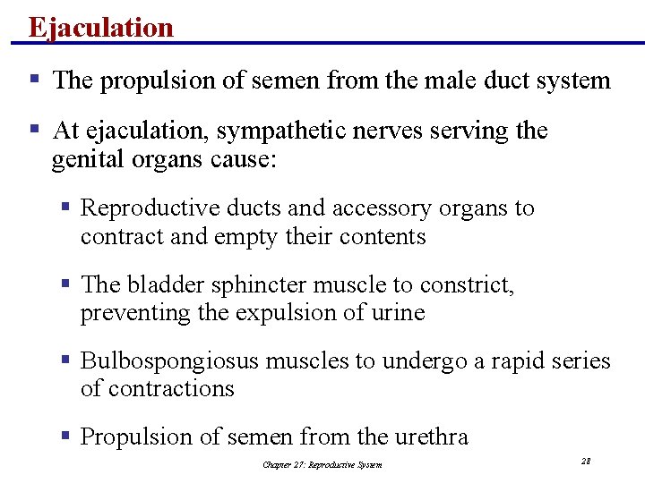 Ejaculation § The propulsion of semen from the male duct system § At ejaculation,