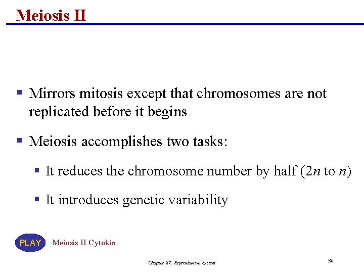 Meiosis II § Mirrors mitosis except that chromosomes are not replicated before it begins