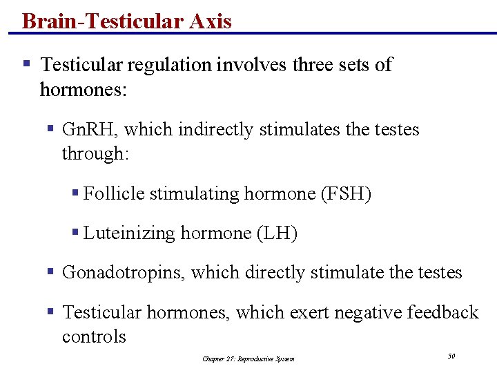 Brain-Testicular Axis § Testicular regulation involves three sets of hormones: § Gn. RH, which