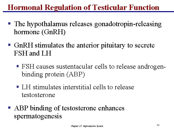 Hormonal Regulation of Testicular Function § The hypothalamus releases gonadotropin-releasing hormone (Gn. RH) §