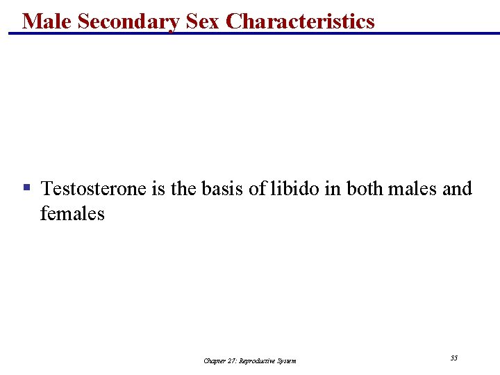 Male Secondary Sex Characteristics § Testosterone is the basis of libido in both males