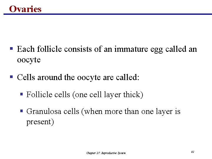 Ovaries § Each follicle consists of an immature egg called an oocyte § Cells