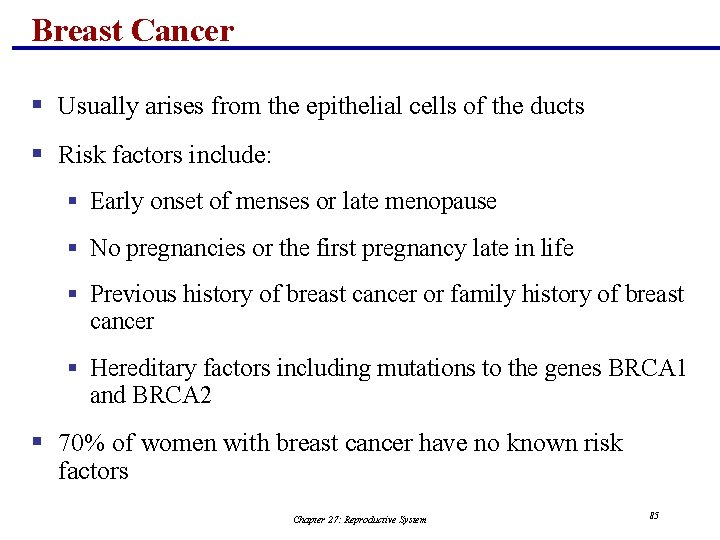 Breast Cancer § Usually arises from the epithelial cells of the ducts § Risk