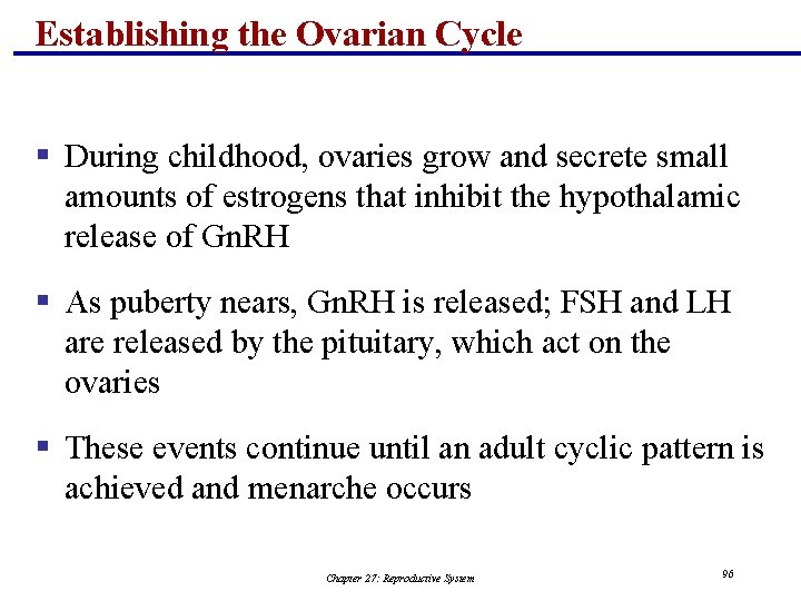 Establishing the Ovarian Cycle § During childhood, ovaries grow and secrete small amounts of