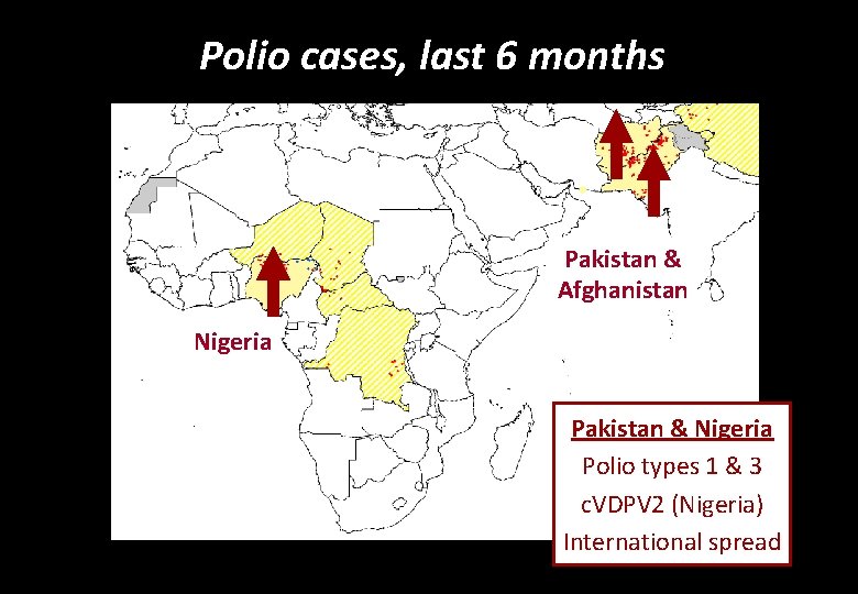 Polio cases, last 6 months Pakistan & Afghanistan Nigeria Pakistan & Nigeria Polio types