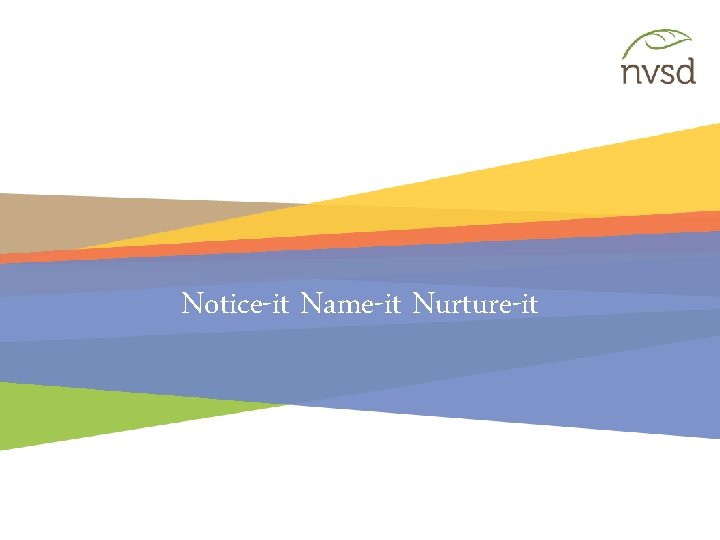 Notice-it Name-it Nurture-it 