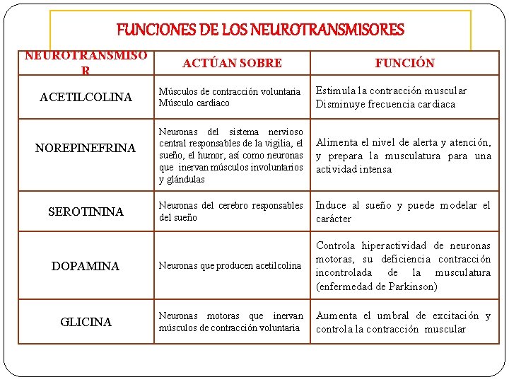 FUNCIONES DE LOS NEUROTRANSMISORES NEUROTRANSMISO R ACTÚAN SOBRE ACETILCOLINA Músculos de contracción voluntaria Músculo