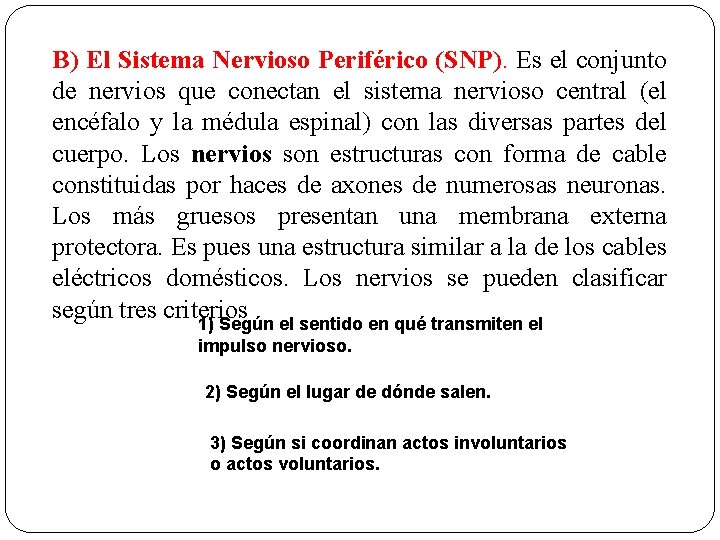 B) El Sistema Nervioso Periférico (SNP). Es el conjunto de nervios que conectan el