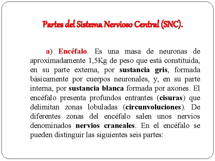 Partes del Sistema Nervioso Central (SNC). a) Encéfalo. Es una masa de neuronas de