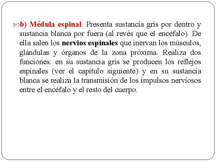  b) Médula espinal. Presenta sustancia gris por dentro y sustancia blanca por fuera