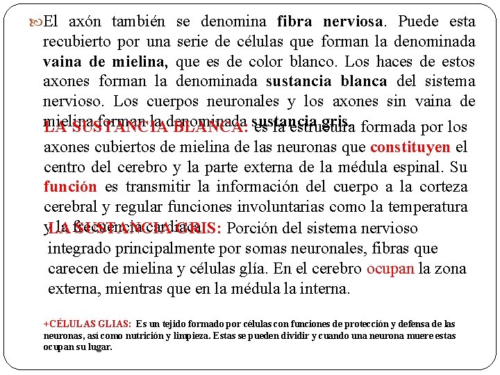  El axón también se denomina fibra nerviosa. Puede esta recubierto por una serie