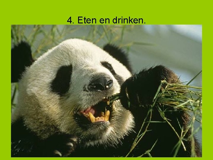 4. Eten en drinken. 