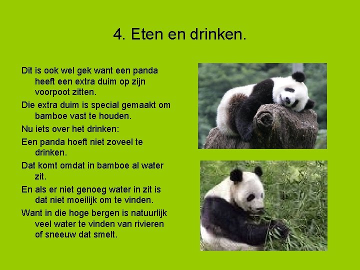 4. Eten en drinken. Dit is ook wel gek want een panda heeft een