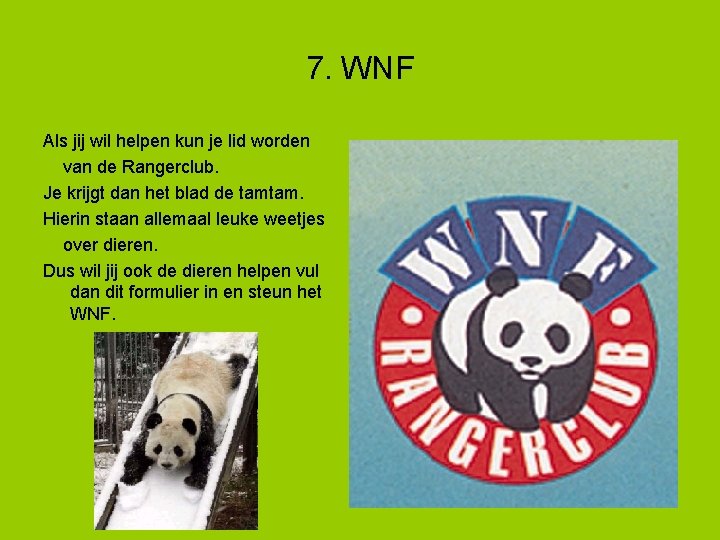 7. WNF Als jij wil helpen kun je lid worden van de Rangerclub. Je