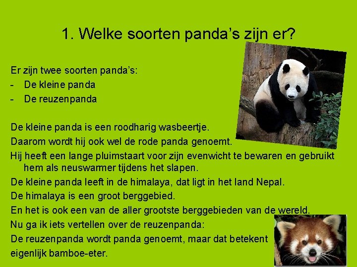 1. Welke soorten panda’s zijn er? Er zijn twee soorten panda’s: - De kleine