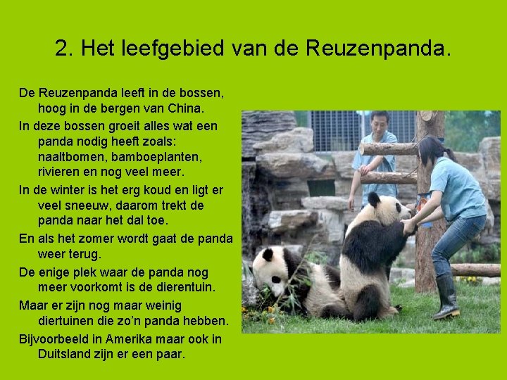 2. Het leefgebied van de Reuzenpanda. De Reuzenpanda leeft in de bossen, hoog in
