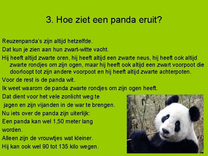 3. Hoe ziet een panda eruit? Reuzenpanda’s zijn altijd hetzelfde. Dat kun je zien