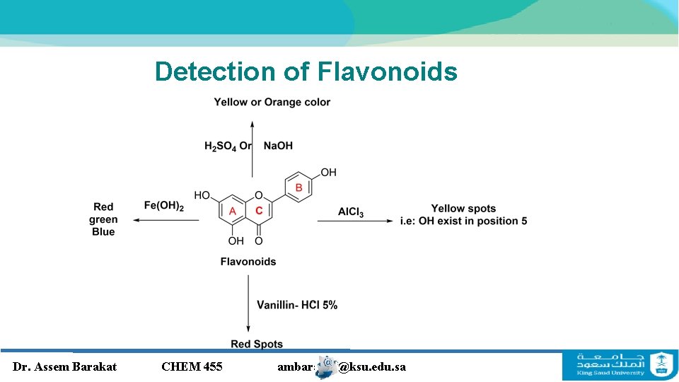 Detection of Flavonoids Dr. Assem Barakat CHEM 455 ambarakat@ksu. edu. sa Detection of Flavonoids Dr. Assem Barakat CHEM 455 ambarakat@ksu. edu. sa