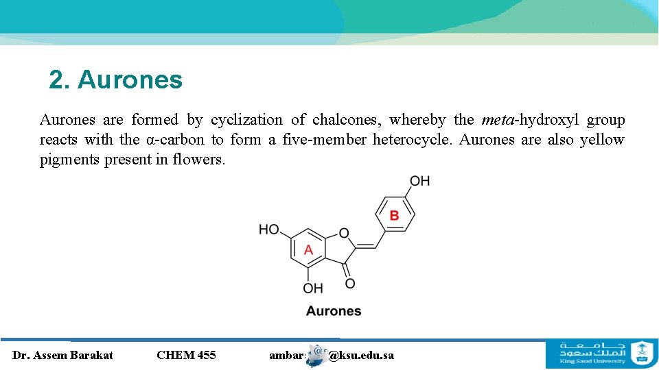 2. Aurones are formed by cyclization of chalcones, whereby the meta-hydroxyl group reacts with 2. Aurones are formed by cyclization of chalcones, whereby the meta-hydroxyl group reacts with
