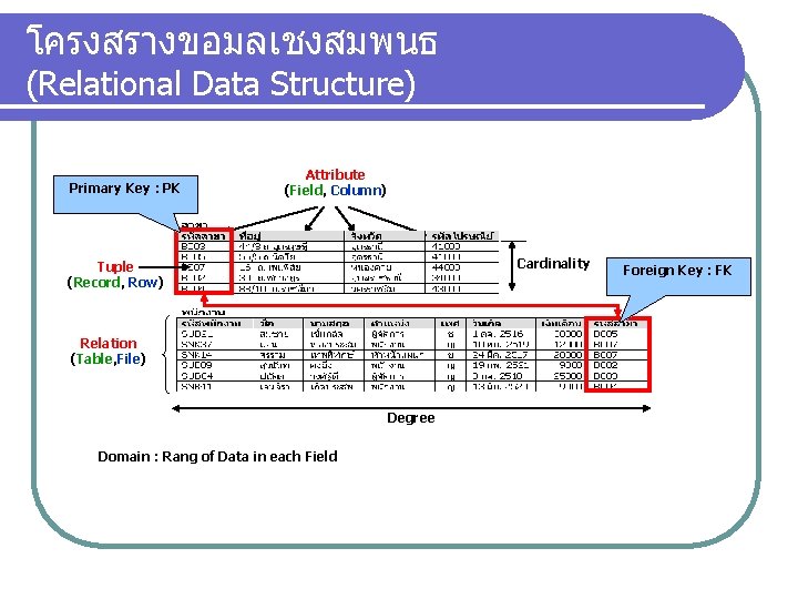 โครงสรางขอมลเชงสมพนธ (Relational Data Structure) Primary Key : PK Attribute (Field, Column) Cardinality Tuple (Record,