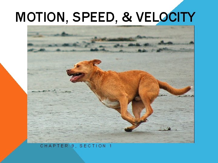 MOTION, SPEED, & VELOCITY CHAPTER 9, SECTION 1 