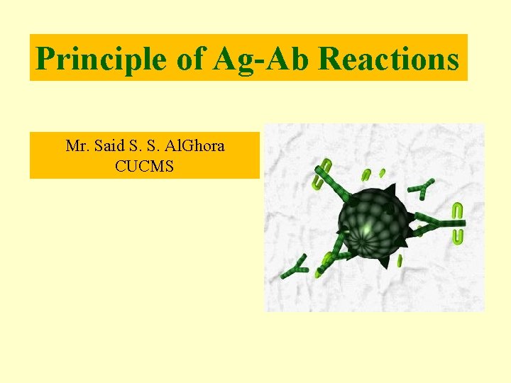 Principle of Ag-Ab Reactions Mr. Said S. S. Al. Ghora CUCMS 
