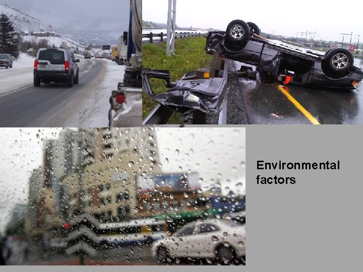 Environmental factors 