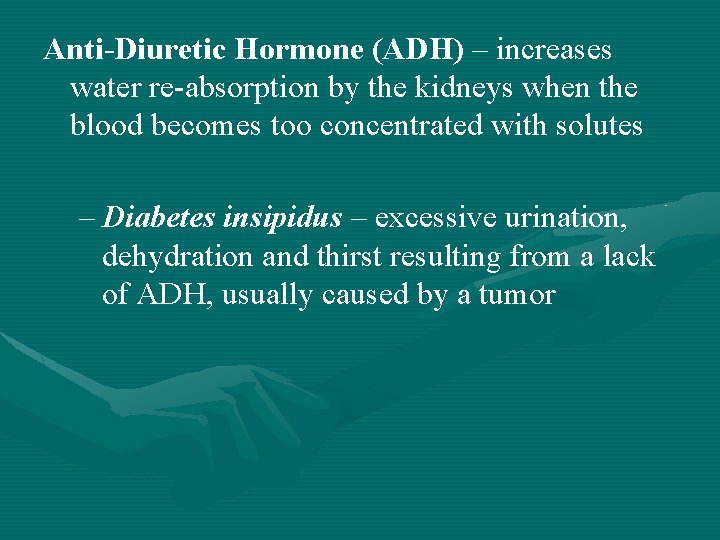 Anti-Diuretic Hormone (ADH) – increases water re-absorption by the kidneys when the blood becomes