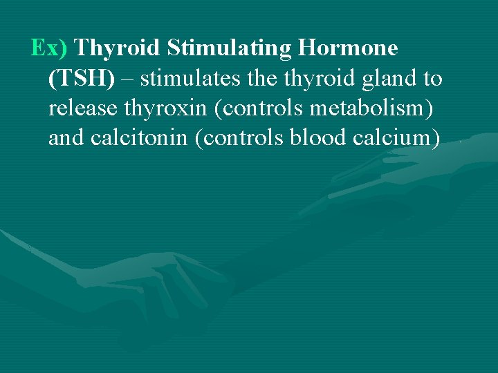 Ex) Thyroid Stimulating Hormone (TSH) – stimulates the thyroid gland to release thyroxin (controls