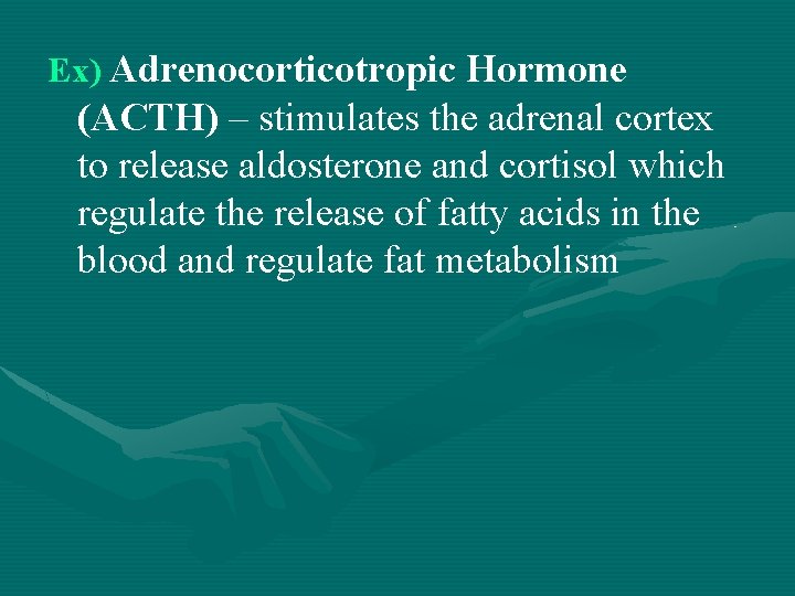 Ex) Adrenocorticotropic Hormone (ACTH) – stimulates the adrenal cortex to release aldosterone and cortisol