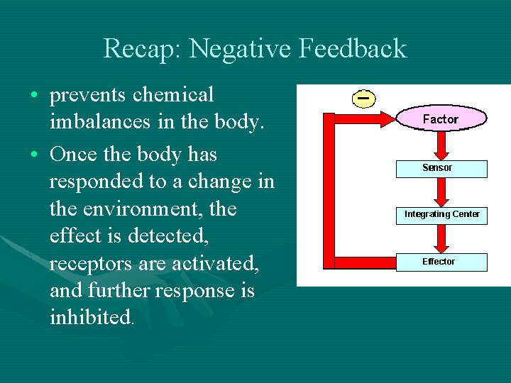 Recap: Negative Feedback • prevents chemical imbalances in the body. • Once the body
