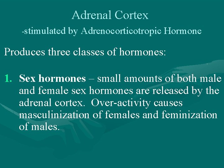Adrenal Cortex -stimulated by Adrenocorticotropic Hormone Produces three classes of hormones: 1. Sex hormones