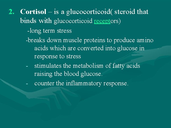 2. Cortisol – is a glucocorticoid( steroid that binds with glucocorticoid receptors) -long term