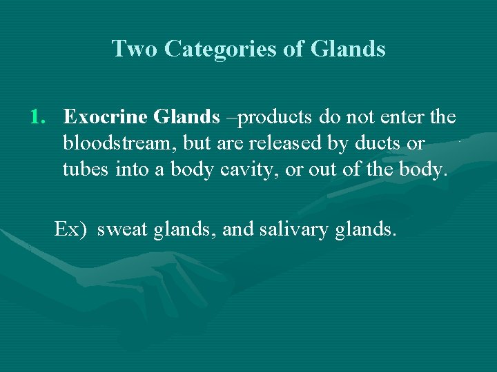 Two Categories of Glands 1. Exocrine Glands –products do not enter the bloodstream, but