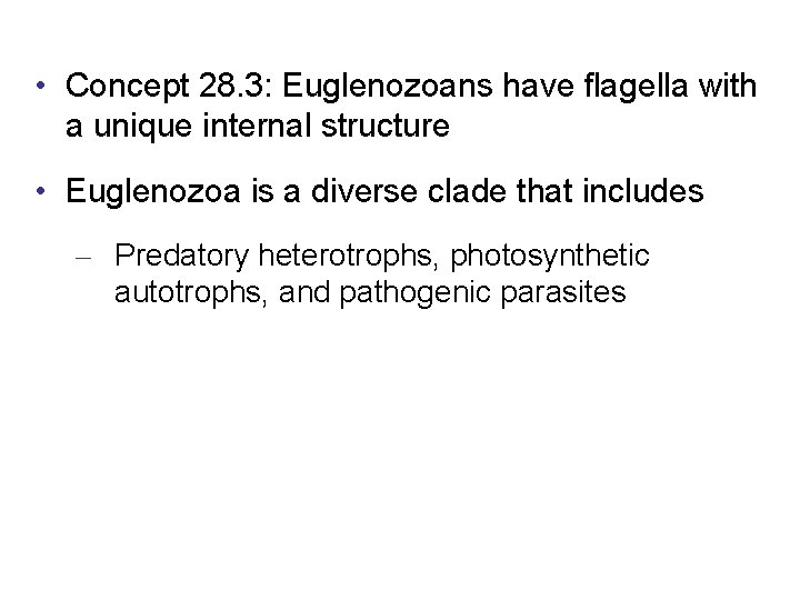  • Concept 28. 3: Euglenozoans have flagella with a unique internal structure •