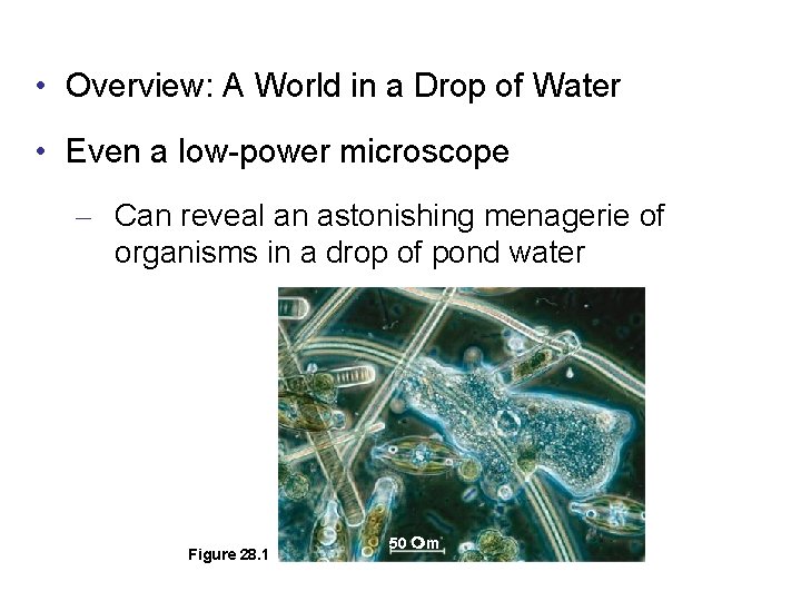  • Overview: A World in a Drop of Water • Even a low-power