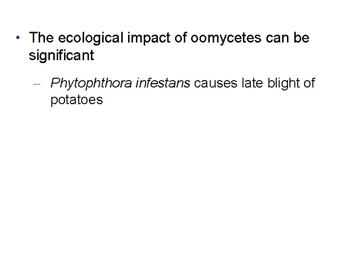  • The ecological impact of oomycetes can be significant – Phytophthora infestans causes