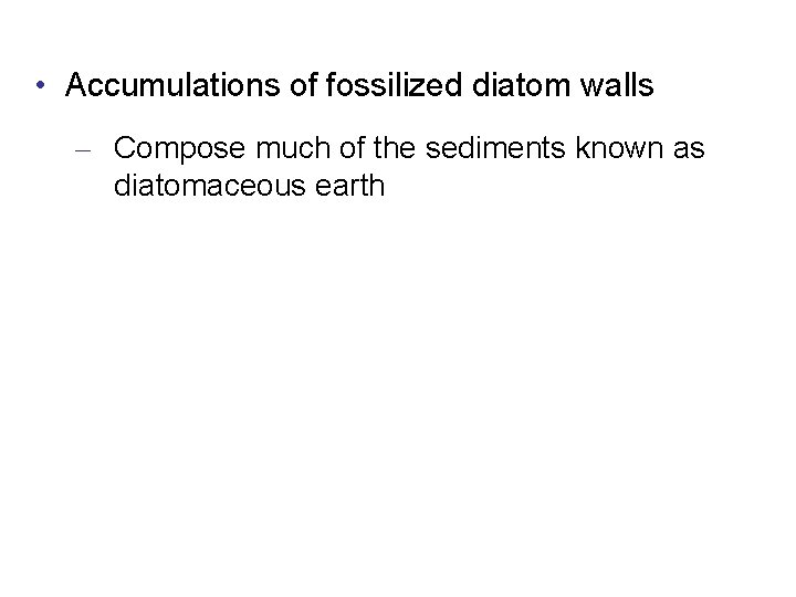  • Accumulations of fossilized diatom walls – Compose much of the sediments known