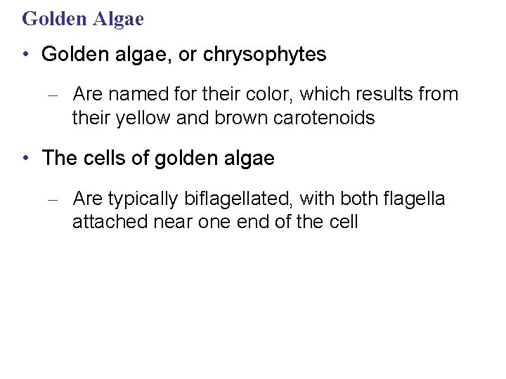 Golden Algae • Golden algae, or chrysophytes – Are named for their color, which