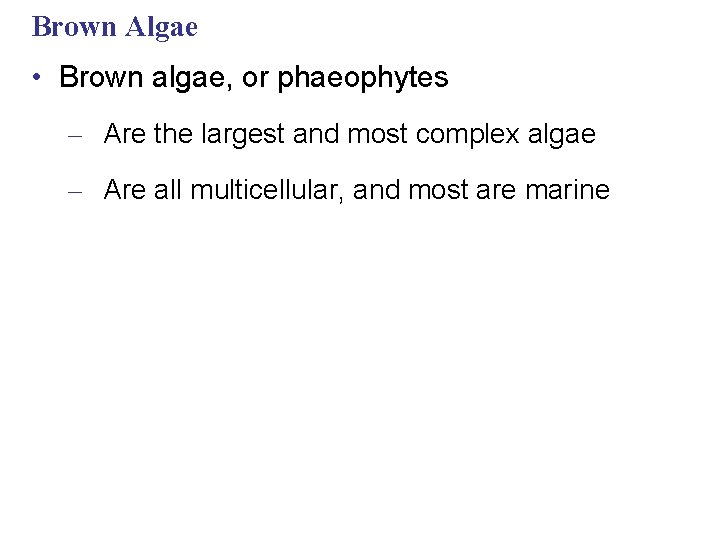 Brown Algae • Brown algae, or phaeophytes – Are the largest and most complex