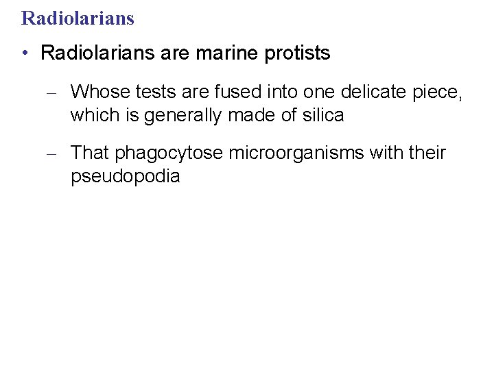 Radiolarians • Radiolarians are marine protists – Whose tests are fused into one delicate