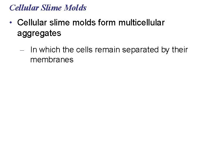 Cellular Slime Molds • Cellular slime molds form multicellular aggregates – In which the