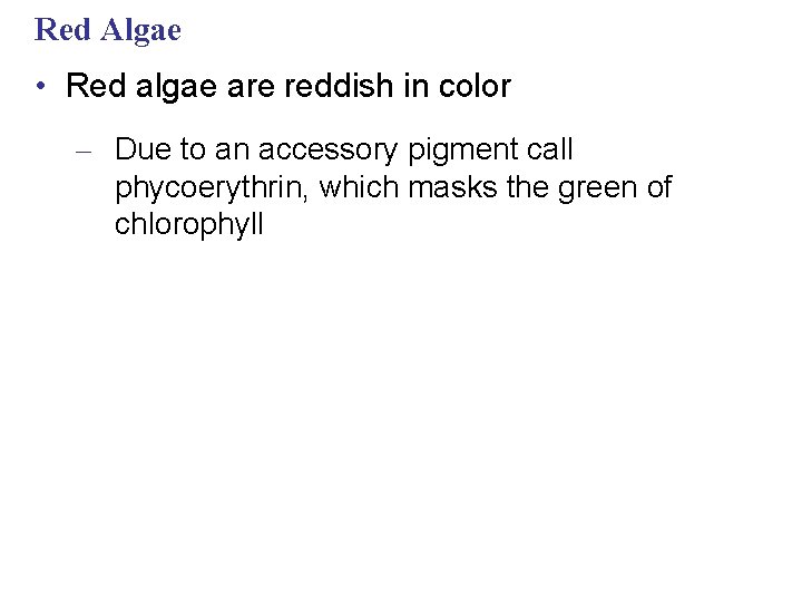 Red Algae • Red algae are reddish in color – Due to an accessory
