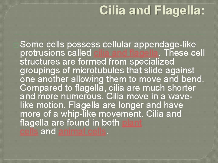 Cilia and Flagella: � Some cells possess cellular appendage-like protrusions called cilia and flagella.