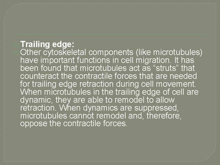 � Trailing edge: � Other cytoskeletal components (like microtubules) have important functions in cell