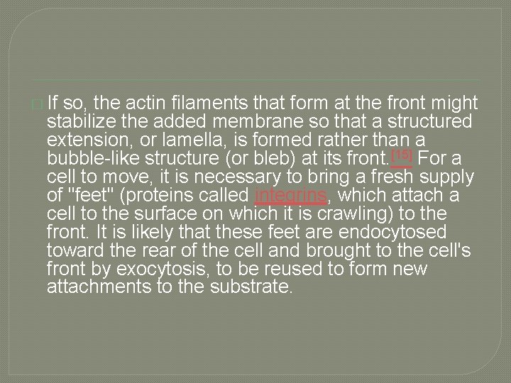 � If so, the actin filaments that form at the front might stabilize the